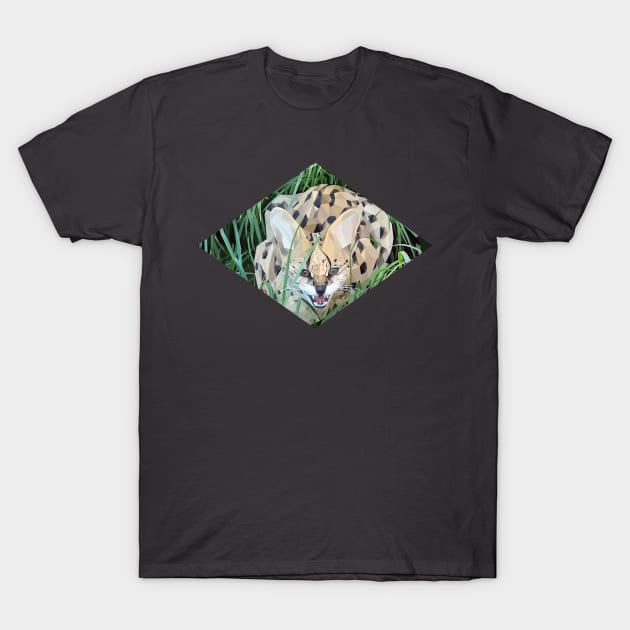 Low Poly Snarling Serval T-Shirt by ErinFCampbell